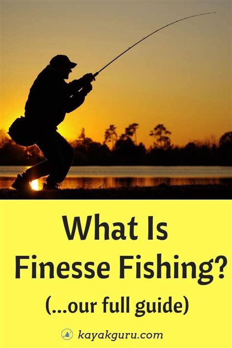 What Is Finesse Fishing? – Our How-To Guide & Tips To Catch More Bass | Bass fishing tips ...