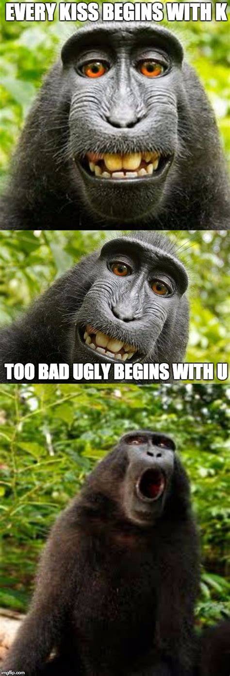 Ugly Sister Monkey Memes