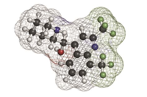 Researchers uncover the mechanism of mefloquine - The Pharmaceutical ...