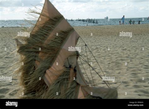 Beach at First Landing State Park, USA Stock Photo - Alamy