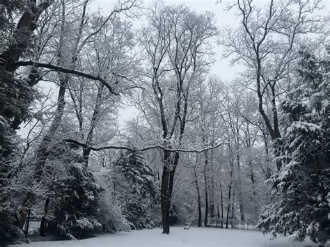 Get Ready, North Canton, Ohio: Snow Is On Its Way | North Canton, OH Patch