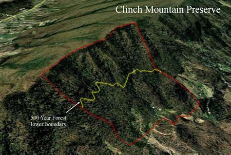 Clinch Mountain Preserve | 500-Year Forest Foundation