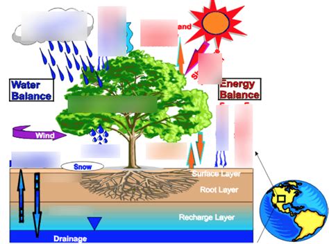 Ecosystem Diagrams 101 Diagrams - vrogue.co