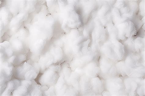 Premium Photo | White fluffy cotton background