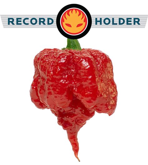 Carolina Reaper - World's Hottest Pepper - Uses, Heat & Flavor + Seeds