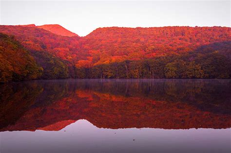 Experience the Beauty of Autumn in Japan | Seasons to Visit Japan