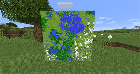 Large Biomes – Minecraft Wiki