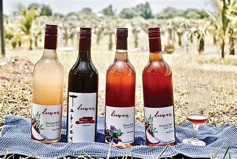 Sweet, sweet wine: Deewan’s dragon fruit artisan wine – Agriculture Monthly