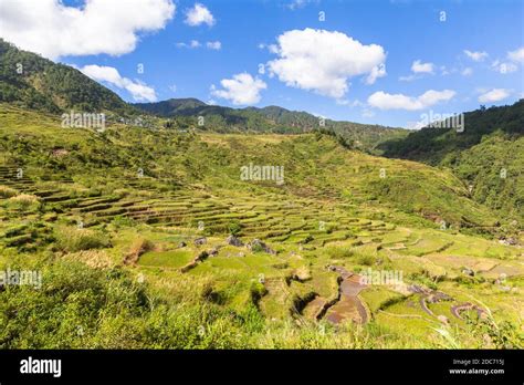 Rice terraces in Sagada, Philippines Stock Photo - Alamy