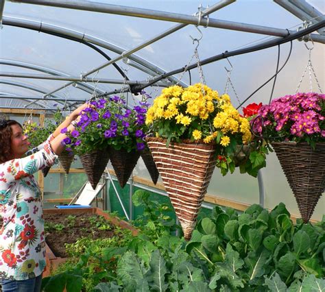 Crop Bars Are The Secret To Versatility | Polytunnel Gardening