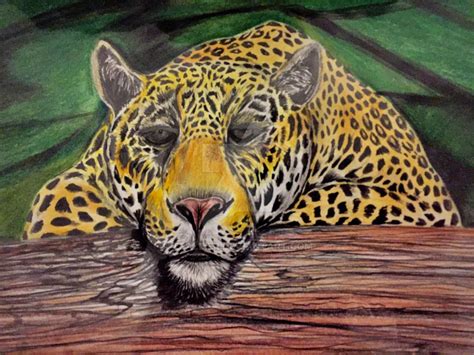 Jaguar Drawing by tpallier on DeviantArt