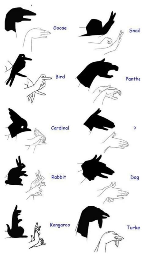 Guide for hand shadows : r/coolguides