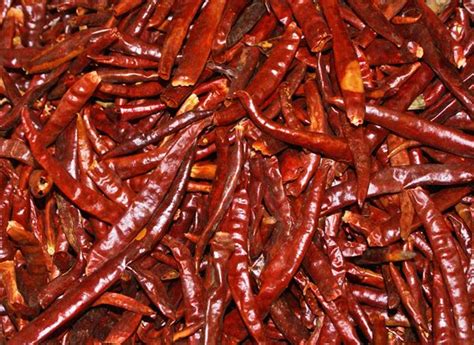 Mexico Cooks!: An Overview of Some of Mexico's Dried Chiles