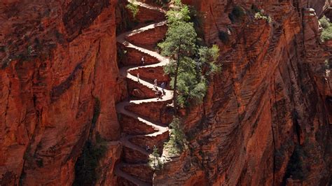 The Best Zion National Park Hikes, From Angel's Landing to Timber Creek ...