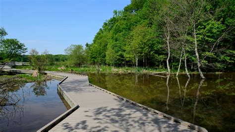 Parks in Fairfax County begin reopening | wusa9.com