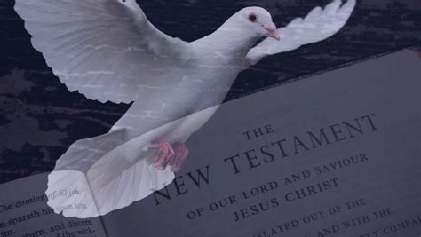 The Role Of The Holy Spirit In The New Testament - Kmacims | Education Annex