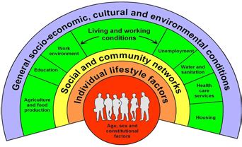 The Dahlgren-Whitehead rainbow (1991) - Health inequalities - Patient Safety Learning - the hub