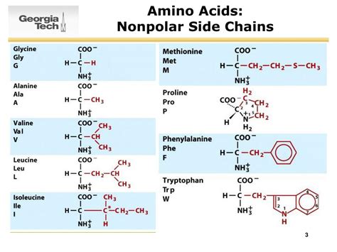 PPT - SURVEY OF BIOCHEMISTRY Amino Acids and Proteins PowerPoint Presentation - ID:3823241