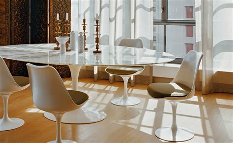 郁金香餐椅[CG-A002-1]-餐椅-创意家具 - 坐具--东方华奥办公家具、现代经典创意家具网