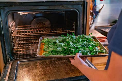 How to Dry Fresh Herbs (Oven, Dehydrator, Or Hanging)