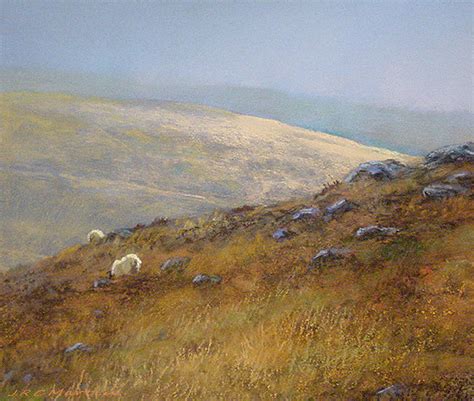 Moorland sheep Painting by James Martin - Fine Art America