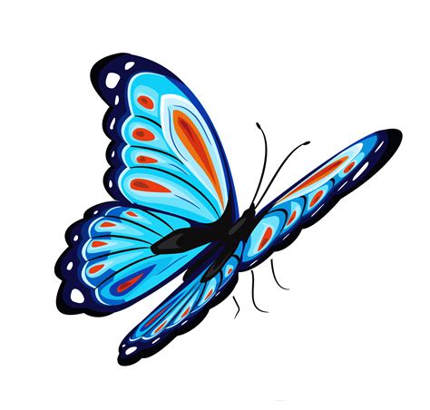 Butterfly PNG - PNG All | PNG All