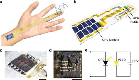 Ultraflexible, self-powered photoplethysmogram sensor a Schematic... | Download Scientific Diagram