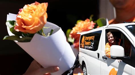 Emergency Valentine’s Day roses delivery for Sydney | 7NEWS