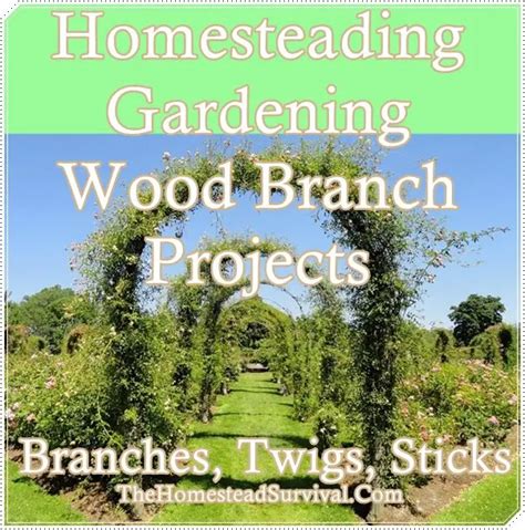 Homesteading Gardening Wood Branch Projects - The Homestead Survival