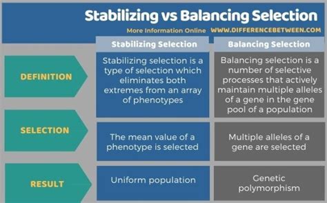 Difference Between Stabilizing and Balancing Selection | Compare the Difference Between Similar ...