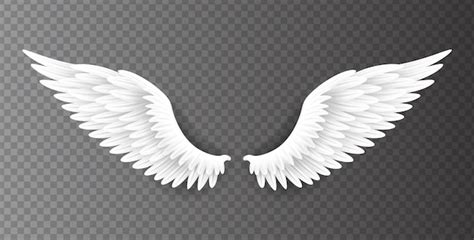 Angel Wings Png Images - Free Download on Freepik