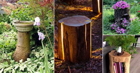 30 Amazing Tree Stump Ideas for the Garden