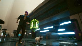 Cyberpunk 2077 Nibbles: How to snap your cat in photo mode | PC Gamer