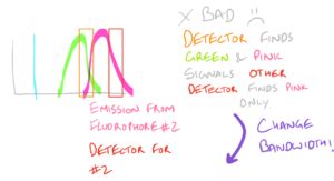 Immunofluorescence Microscopy Protocol and Method Guide - SciGine