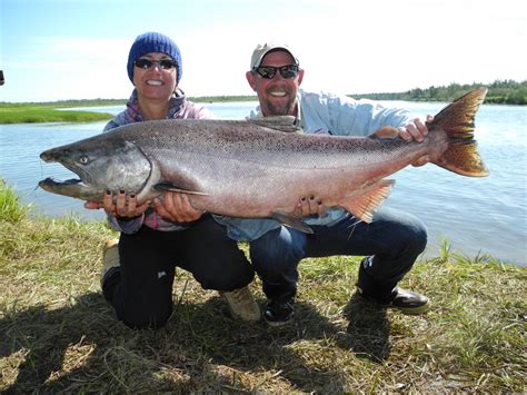 King Salmon Alaska To Anchorage at Lance Taylor blog