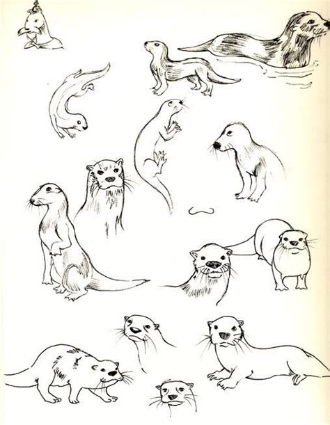 Illustration Blog: Otter sketches | Otter sketches, Animal drawings ...