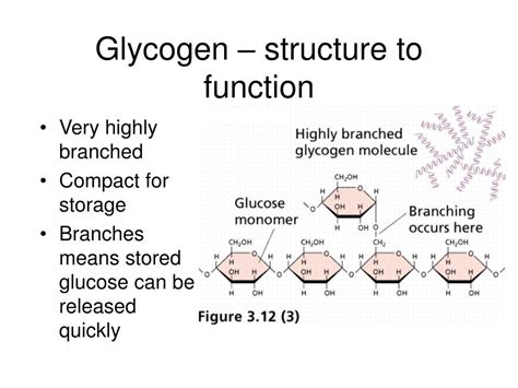 PPT - Biological Molecules PowerPoint Presentation, free download - ID:824039