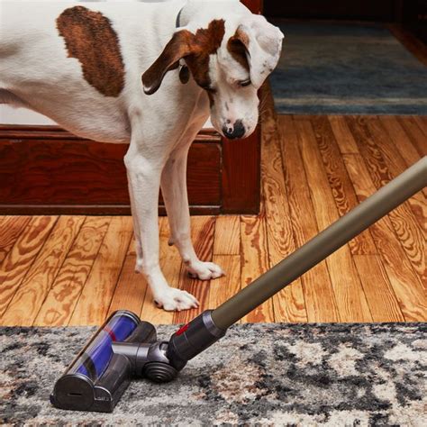 7 Best Vacuums for Pet Hair to Buy in 2022 - Vacuums Designed for Pet Hair