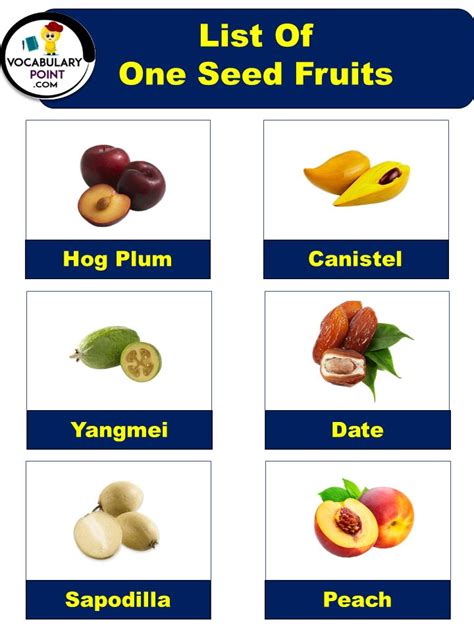 One Seed Fruits Name With Pictures | Fruit list, Fruit names, Fruits ...