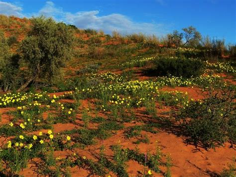 THE 10 BEST Things to Do in Upington - 2022 (with Photos) - Tripadvisor