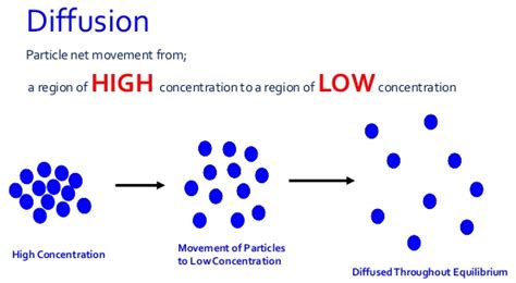 Why does Diffusion take place - Learning Made Simple 360