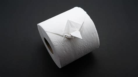 Toilet Paper Crane - Jo Nakashima