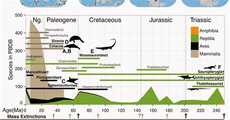 The Dragon's Tales: Drivers of Marine Tetrapod Evolution From the Triassic Mesozoic to the ...