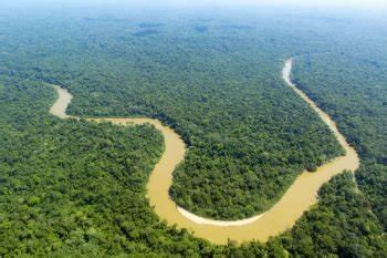 Floresta amazônica: maior floresta tropical do mundo - Toda Matéria