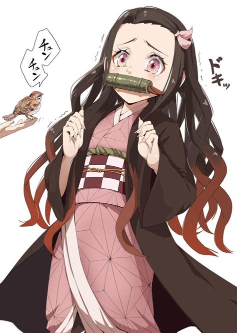 When Zenitsu introduces Chuntaro to Nezuko : r/KimetsuNoYaiba