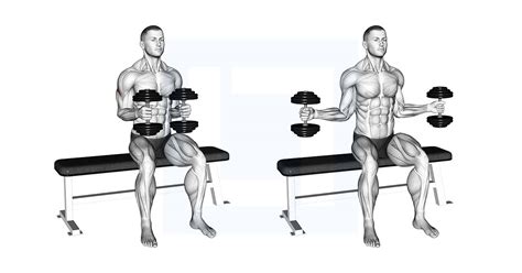 Cable Shoulder Internal Rotation - Guide, Benefits, and Form