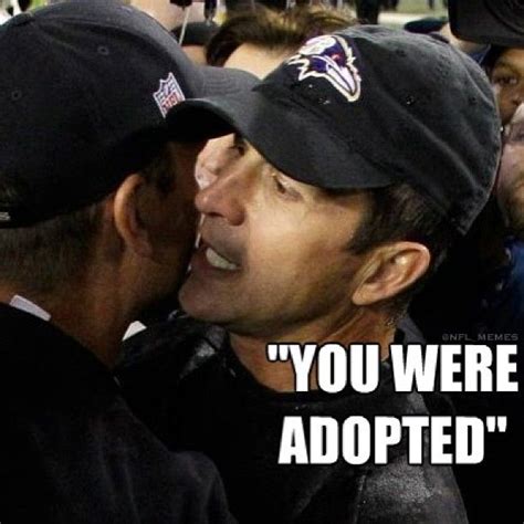 Breaking news, Jim Harbaugh... | Sports memes, Sports humor, Football funny