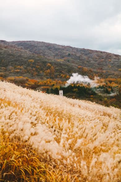 10 BEST THINGS TO DO AT LAKE YAMANAKA NEAR MT. FUJI