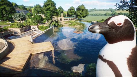 🐧Classical african penguin habitat | Quaco Zoo | Planet Zoo ...