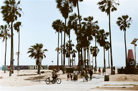 Venice Beach | Venice Public Art Walls :: Behance